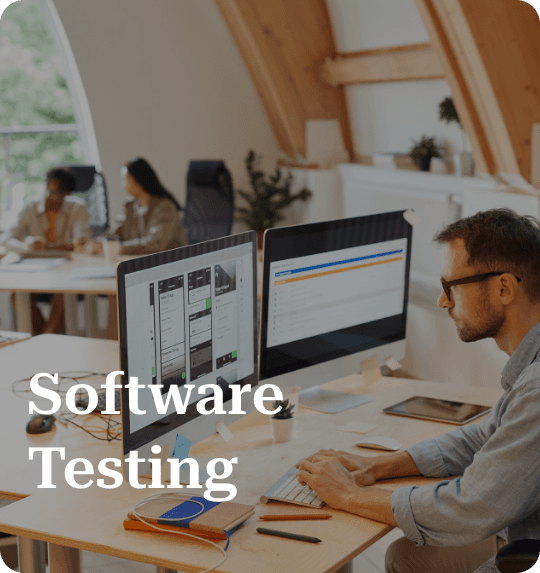 Software Testing